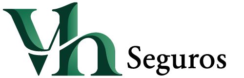 Virginia Hernaiz Seguros